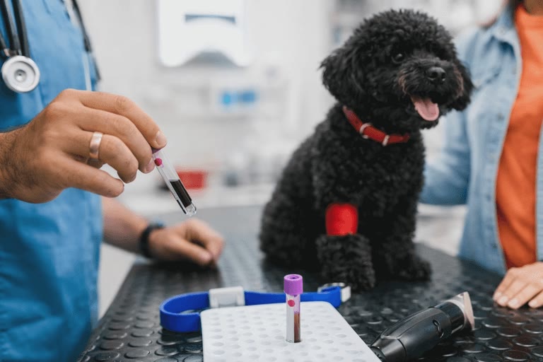 Laboratory Services