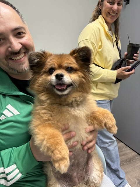 A Pomeranian held up by its smiling owner