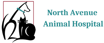 North Avenue Animal Hospital logo