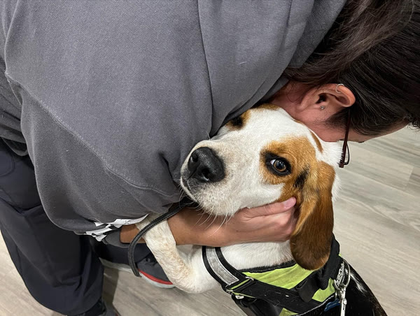 A team member hugging a beagle