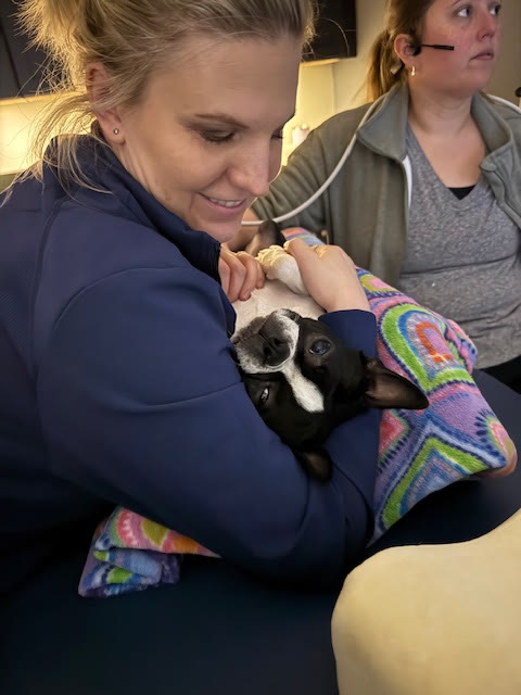A team member cuddling a small dog wrapped in a blanket