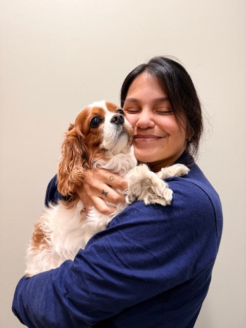 A team member hugging a Cavalier King Charles Spaniel