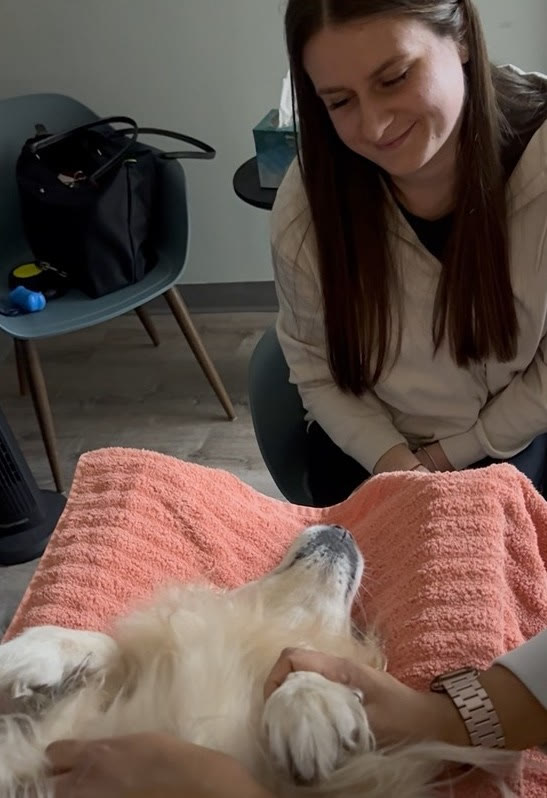 A team member settling a dog on a towel before its scan