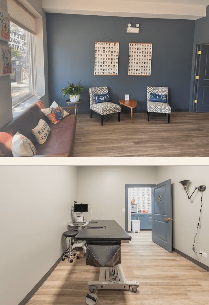 Inside a Veterinary Diagnostic Centers location