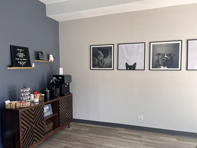 The coffee station beside framed pet portraits
