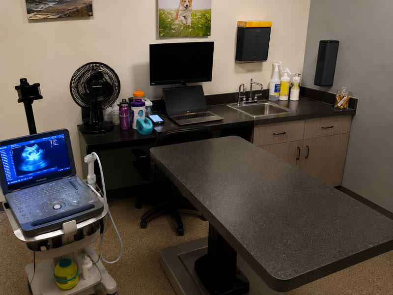 The Orland Park ultrasound room