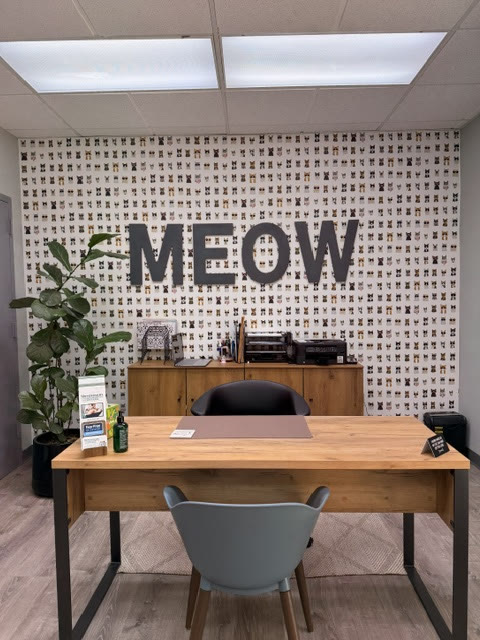 The front desk in front of the MEOW wall