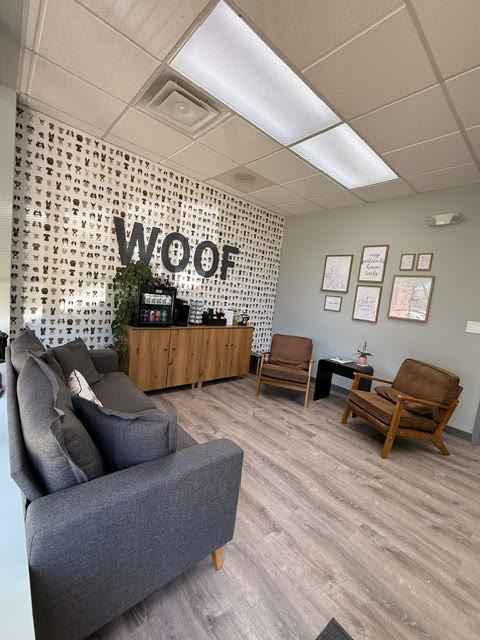 The lounge by the WOOF wall