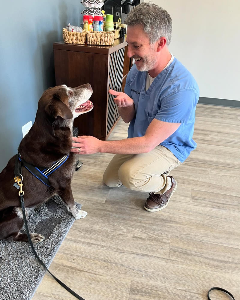 A dog being greeted in the Veterinary Diagnostic Centers lobby