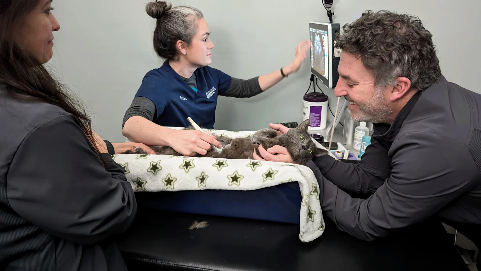 The VDC team scanning a cat while its owner stays beside it