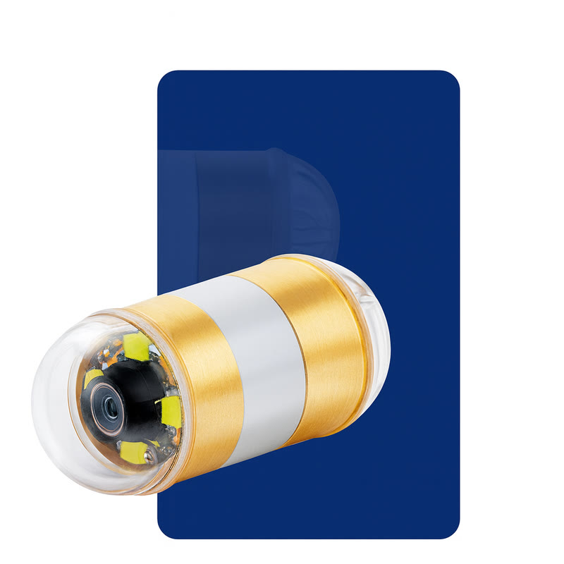 A MiroVET camera capsule